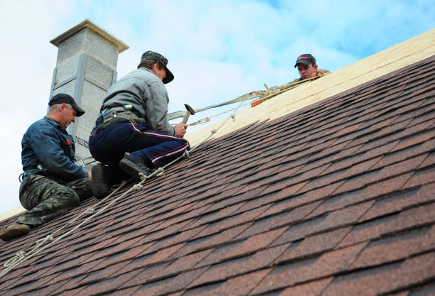 Best Storm Damage Roof Repair  in Heritage Lake, IL